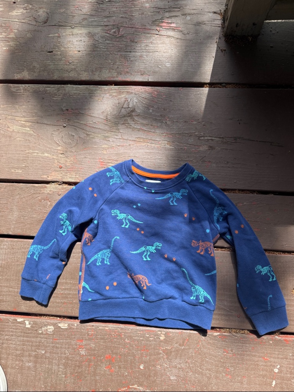 Sovereign Code Navy Blue Dinosaur Print Sweatshirt with Teal & Orange Accents